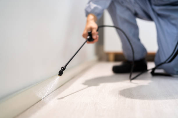 Bed Bug Pre-Treatment Preparation Assessment in Temecula